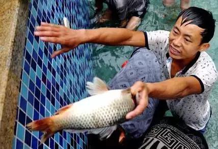 国庆节活动·第一弹千斤鲜鱼免费捕捞！假期就要湿身大作战！